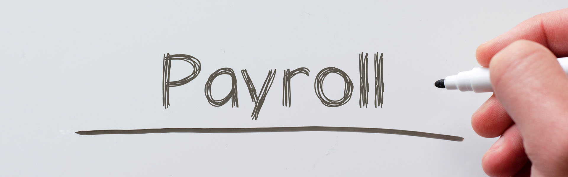 payroll services image